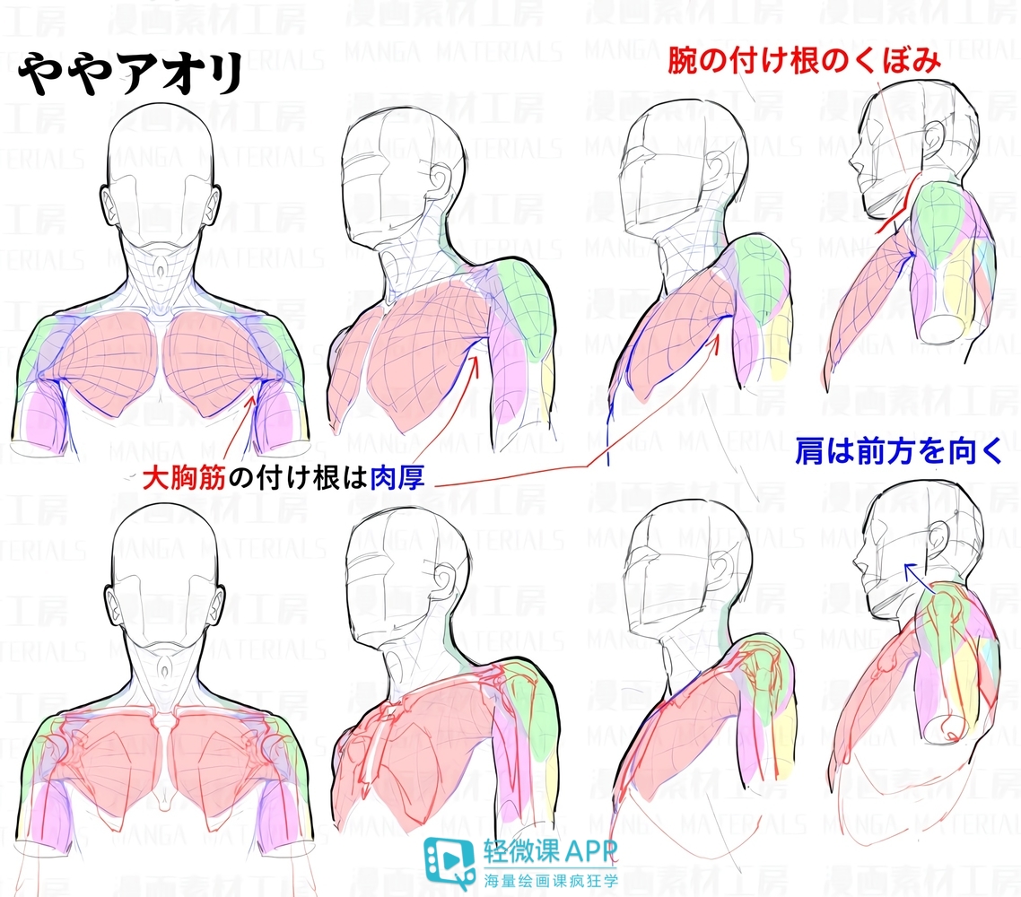 sai厚涂上色教程：sai厚涂人物上色教程图解！