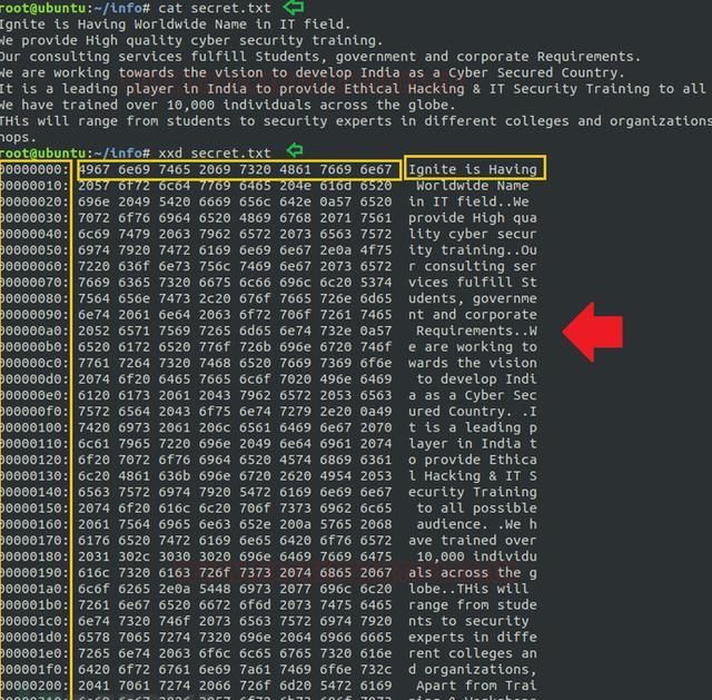 用于提权的Linux命令，即“xxd”用于提权的Linux命令，即“xxd”