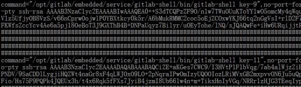 自定义构建交互式SSH应用程序，用Python为大家举例自定义构建交互式SSH应用程序，用Python为大家举例