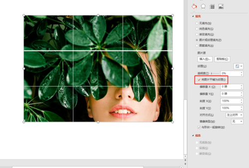 http://img.mukewang.com/5dc10ae50001de4610020676.jpg