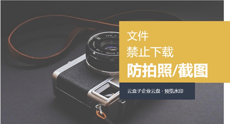 文档预览水印,文档防拍照,企业云盘,文档安全水印
