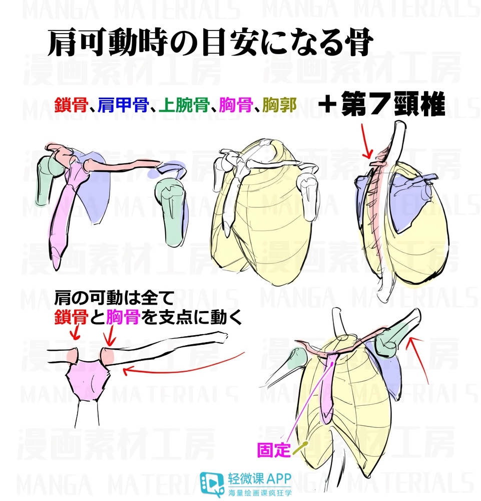 画漫画教程|漫画人物绘画如何入门？