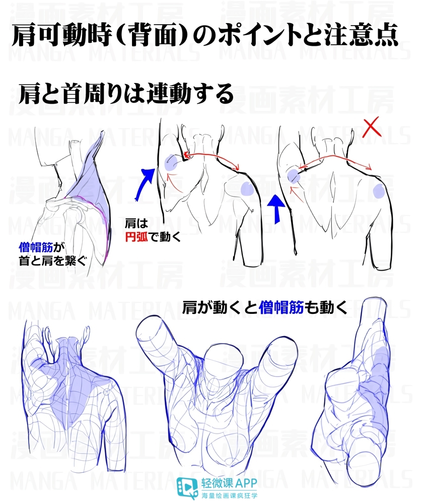 画漫画教程|漫画人物绘画如何入门？