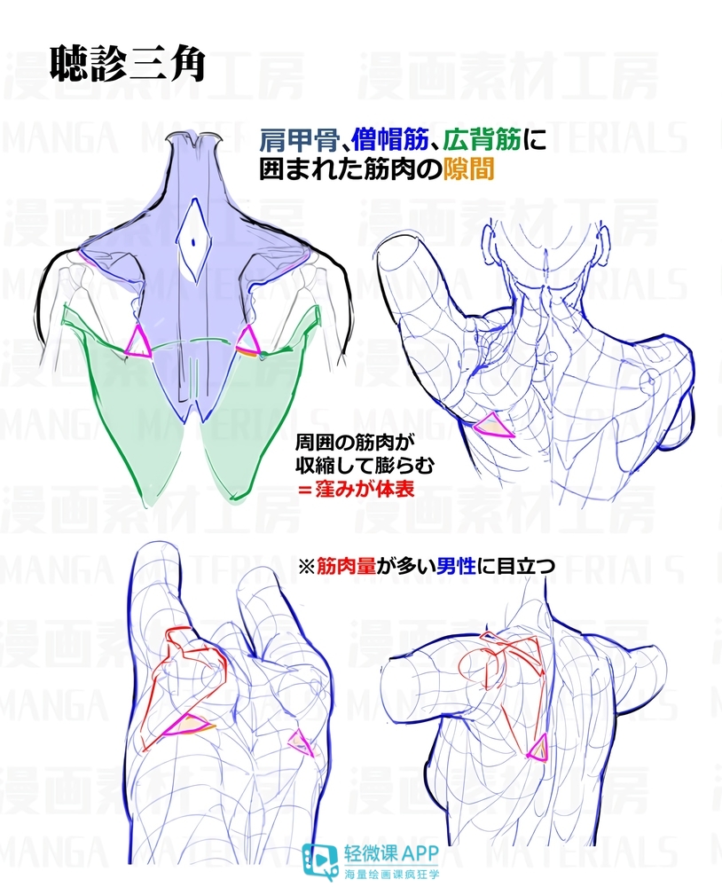 动漫设计教程难不难学？简单几步快速画出动漫人物