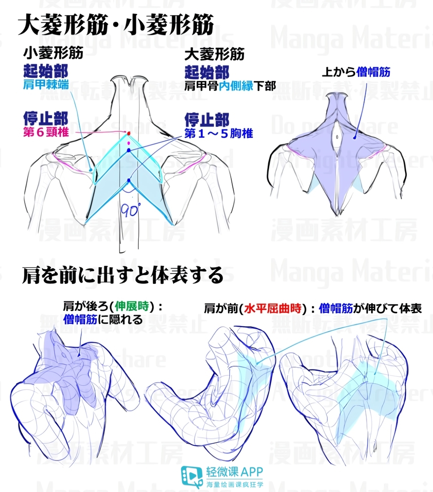 动漫设计教程难不难学？简单几步快速画出动漫人物