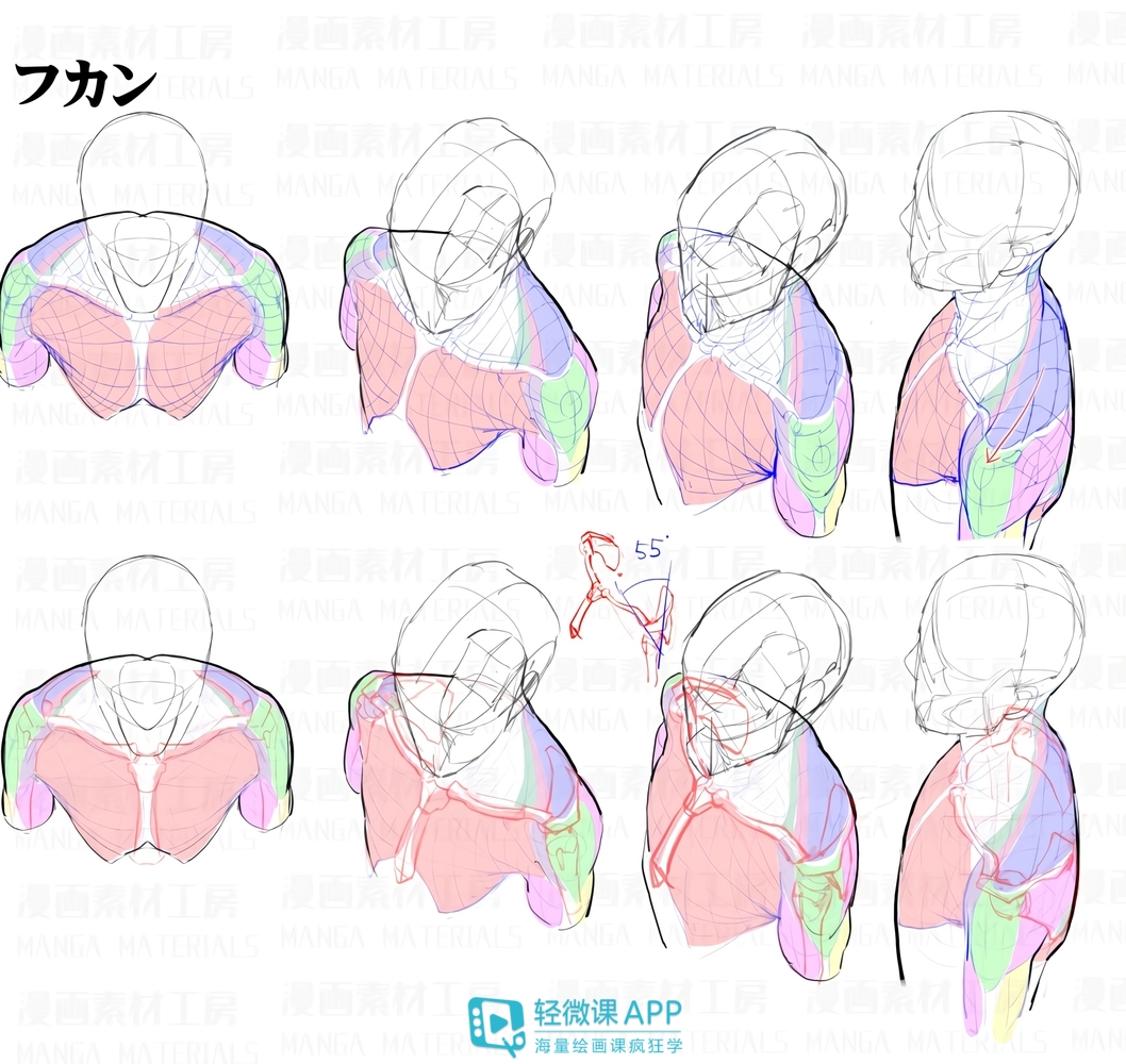 哪里有画漫画入门教程？初学者零基础漫画手绘教程