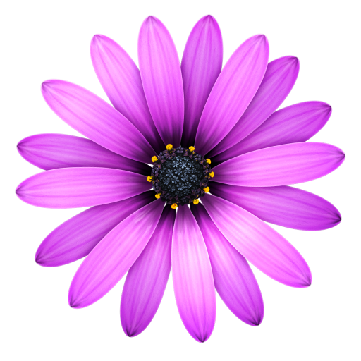 TextMate 2 for Mac(文本编辑器) 