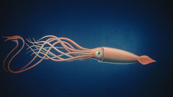 配置 Squid 作为 SSH 代理服务器配置 Squid 作为 SSH 代理服务器