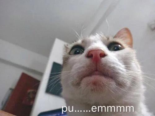 微信图片_20200904163816.jpg