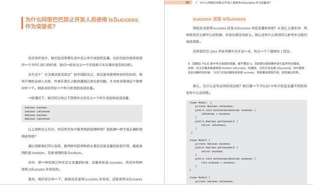 《Java开发手册灵魂13问》正式上线，带你剖析阿里巴巴的开发细节