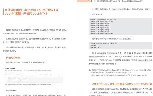 《Java开发手册灵魂13问》正式上线，带你剖析阿里巴巴的开发细节