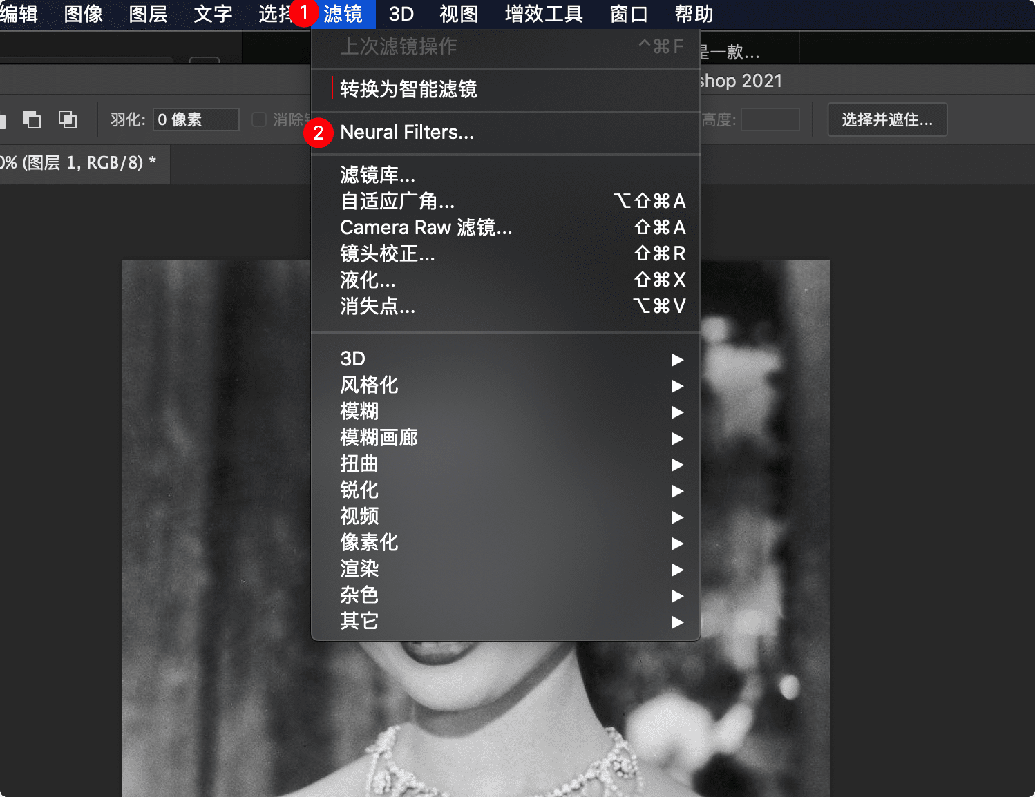 ps 2021 打开Neural Gallery 的着色功能 