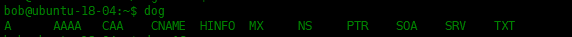 Dog-用于DNS查询的命令行工具Dog-用于DNS查询的命令行工具