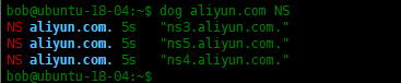 Dog-用于DNS查询的命令行工具Dog-用于DNS查询的命令行工具