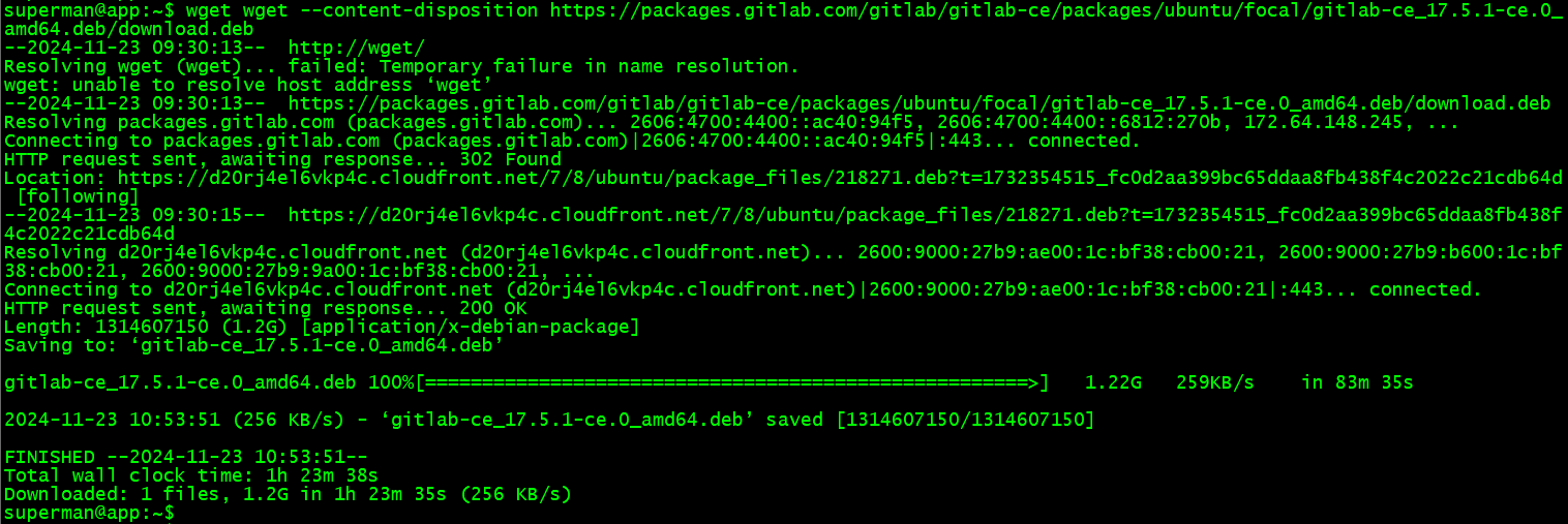 image-20241123194906289