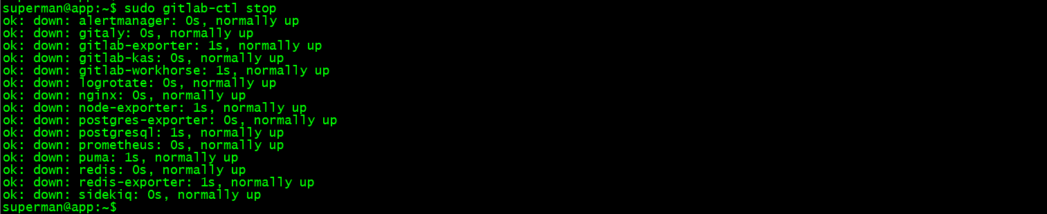 image-20241123204356748