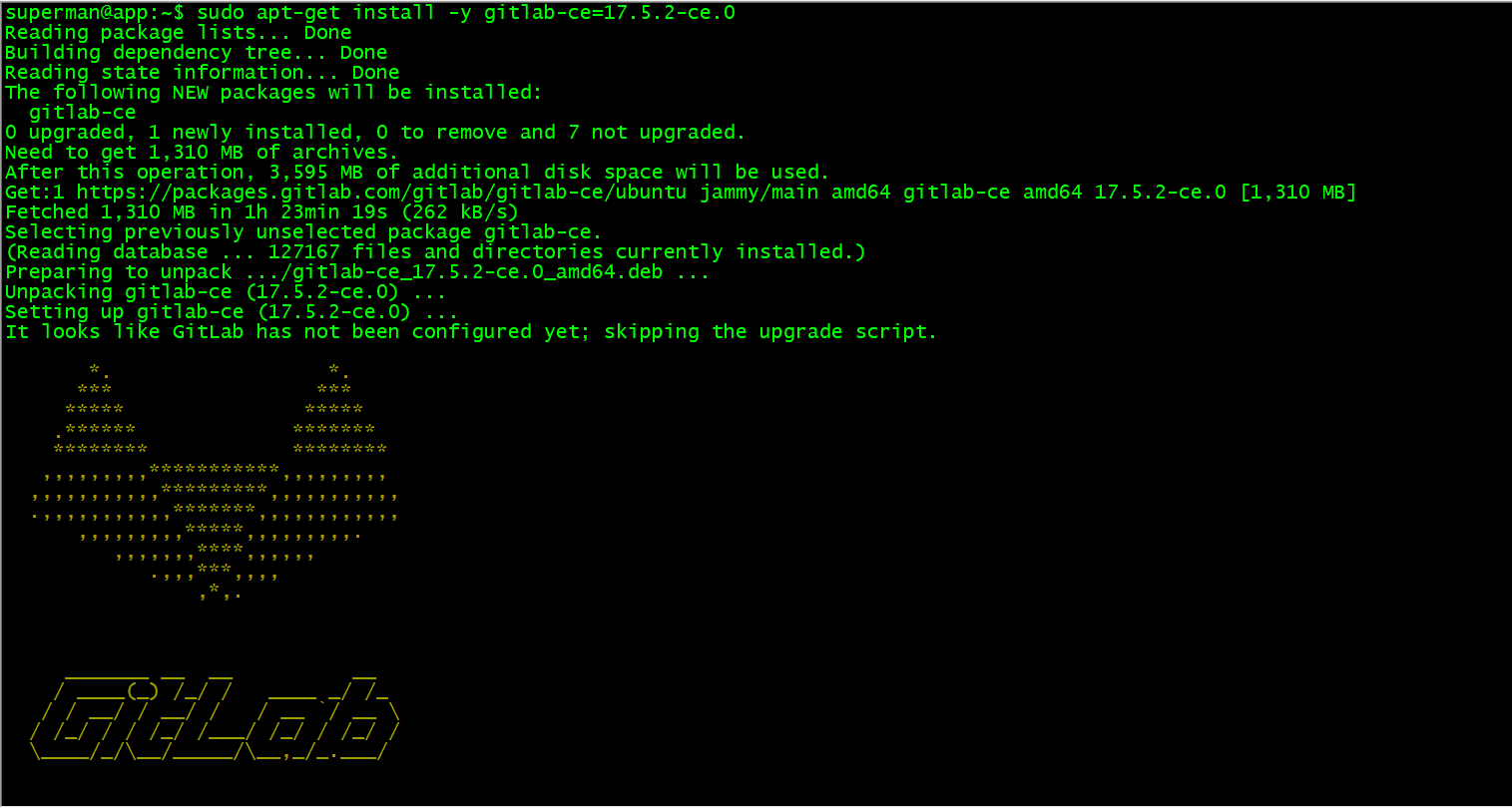 image-20241129143414786