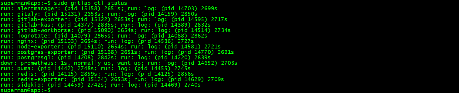image-20241123204316806