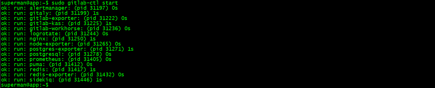 image-20241123204446991