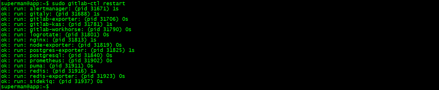 image-20241123204642551