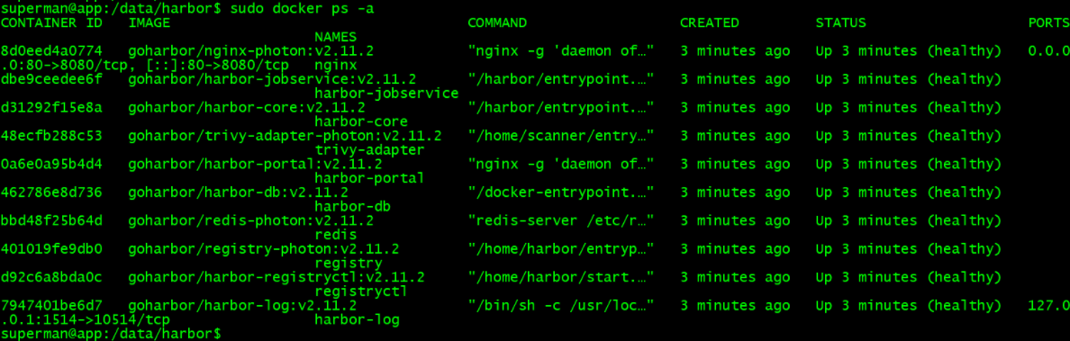 image-20241127160947497