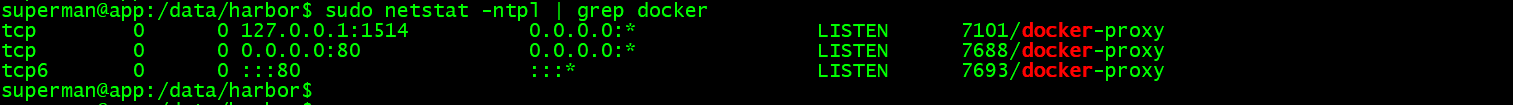 image-20241127145626737