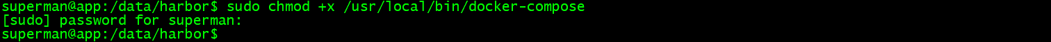 image-20241127155337655