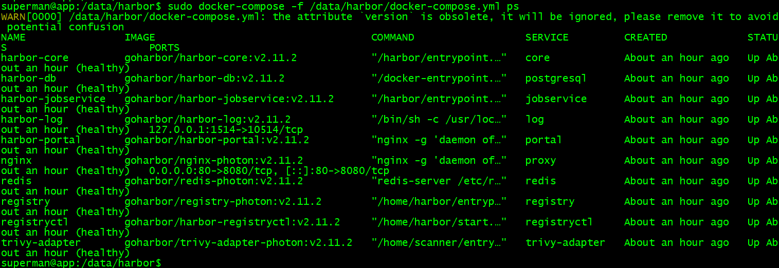 image-20241127155948893