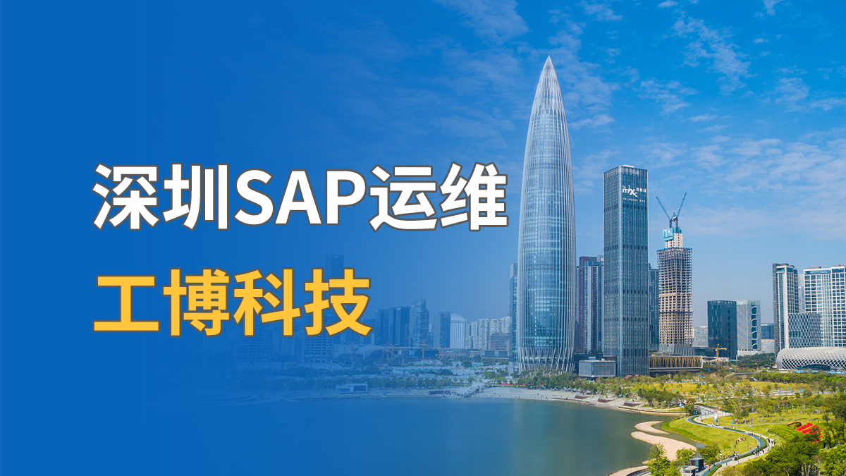 深圳SAP运维厂家有有哪些？