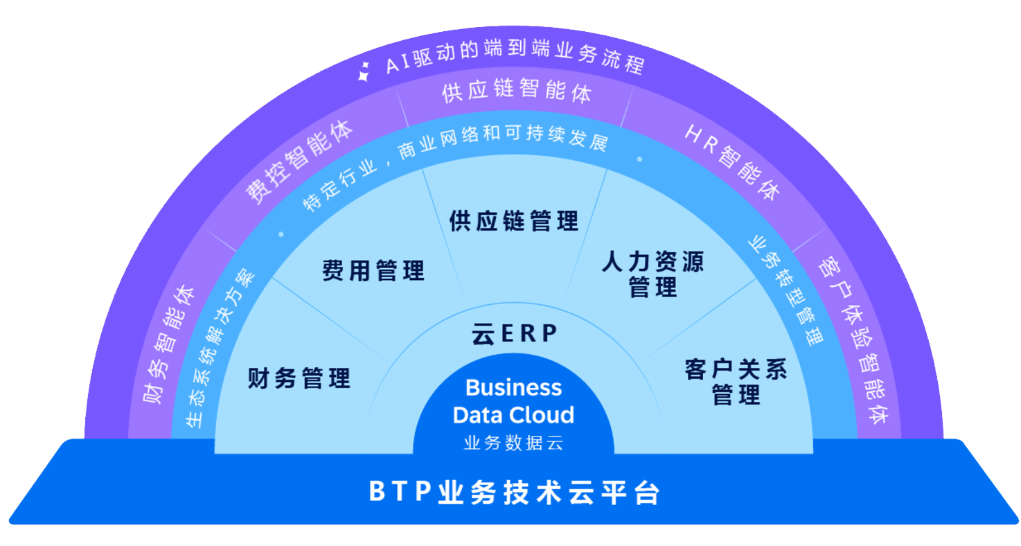 SAP是软件还是什么？