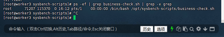 验证脚本进程