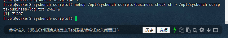 启动业务验证脚本