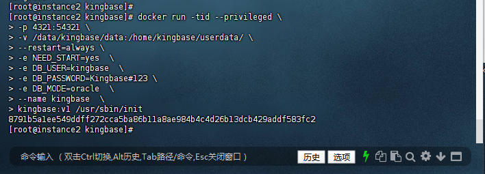启动容器