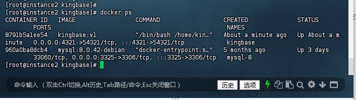 容器状态检查