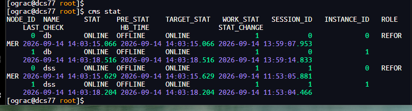 cms stat 双节点全 ONLINE